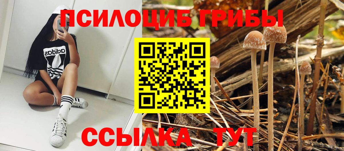Ишимбай  Галлюциногенные грибы MAGIC MUSHROOMS  Вход с VPN  Псилоцибиновые грибы Cubensis 